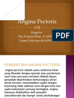 Angina Pectoris PPT Bu Tyo