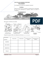 anexoecositema-100807081719-phpapp01.pdf