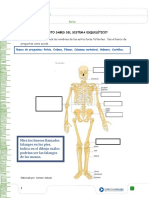 sistema esqueletico_docx.docx