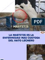 Mastitis