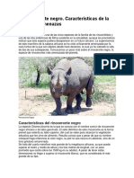 El rinoceronte negro.docx