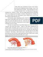 Anatomi Usus Halus PDF
