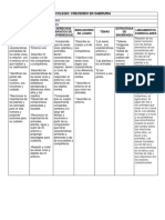 Matriz, Lineamientos y Estándares