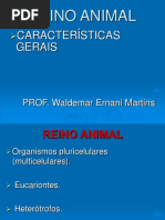 281_735Invertebrados.ppt