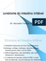 17119088-Aula-7-Sindrome-do-intestino-Irritavel.ppt