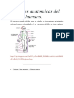 Partes Anatomicas Del Cuerpo