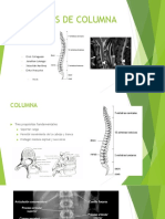 Lesiones de Columna Final