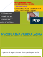 Mycoplasma y Ureaplasma