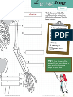 Learn Bone Zone Arms