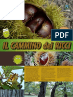 Libretto Il Cammino Dei Ricci Drena