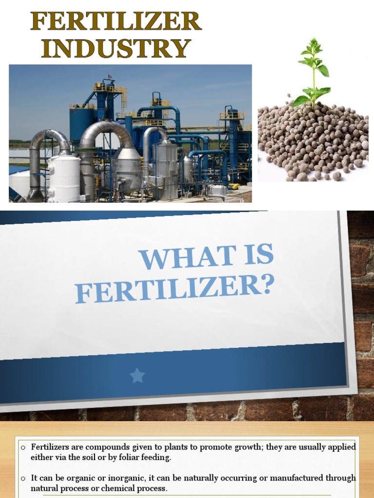Fertilizer Industry Urea Fertilizer Free 30day Trial Scribd