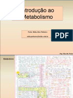 3 Introdução Ao Metabolismo e Glicólise - Aula 3 - Profa. Nídia