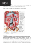 Ejercicios de piso pelvico pdf