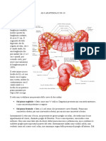 16 Anatomia 02-04-14