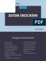 Anatomi Sistem Endokrin #2