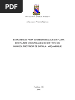 julio_pacheco_dissertacao.pdf