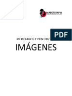 IMAGENES MERIDIANOS Y TENDINOMUSCULARES.pdf