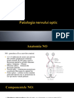 Patologia Nervului Optic - Final