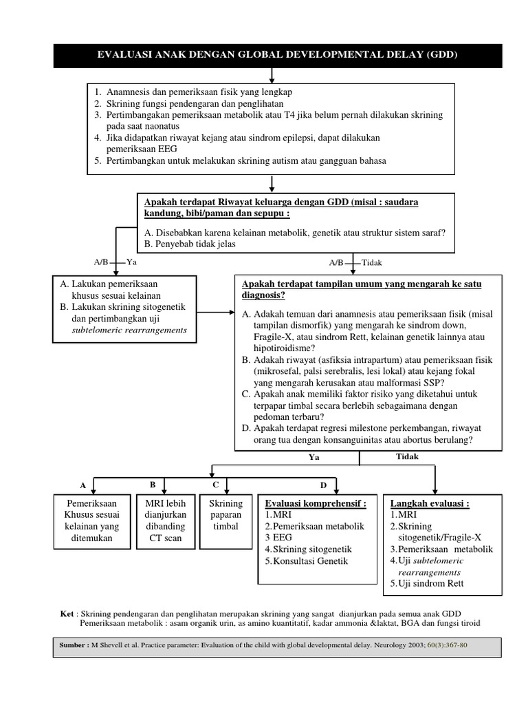 Evaluasi Anak dengan GDD | PDF