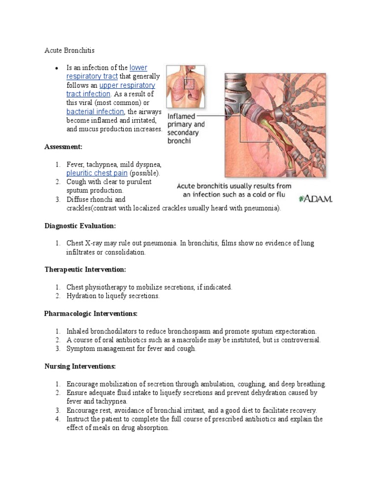 Acute Bronchitis Assessment, Diagnosis, Treatment, and Nursing Care PDF