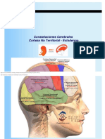 Nueva Medicina Constelaciones Cerebrales Corteza No Territorial.pdf