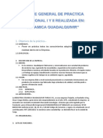 Informe General de Practica Profesional I y II