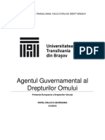 Agentul Guvernamental Al Drepturilor Omului