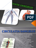 Circulatia Sangelui.pptx