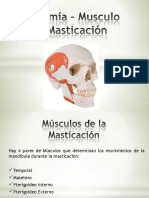 anatomamusculodelamasticacin-130130205834-phpapp02.pdf