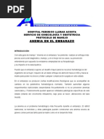 Anemia En El Embarazo Anemia Sangre