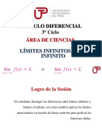 Semana 6 Sesion 1 - Límites Infinitos y Al Infinito PDF