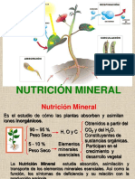 Teorico - Nutricion Mineral 2018