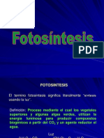 Teorico Practico - Factores Que Afectan La Fotosintesis-2018