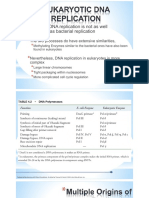 Eukaryotic DNA Replication