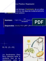 Teorico Practico - Factores Que Afectan La Respiraci N 2018