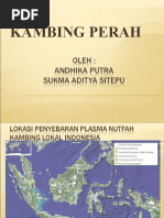 Download Lokasi penyebaran Plasma Nutfah Kambing Lokal by 030306028 SN38110071 doc pdf