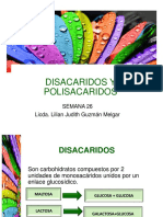 Disacáridos y polisacáridos