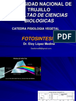 fOTOSÍNTESIS fase clara eX..ppt