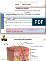 Tejidos Blandos, Huesos , Musculos PDF