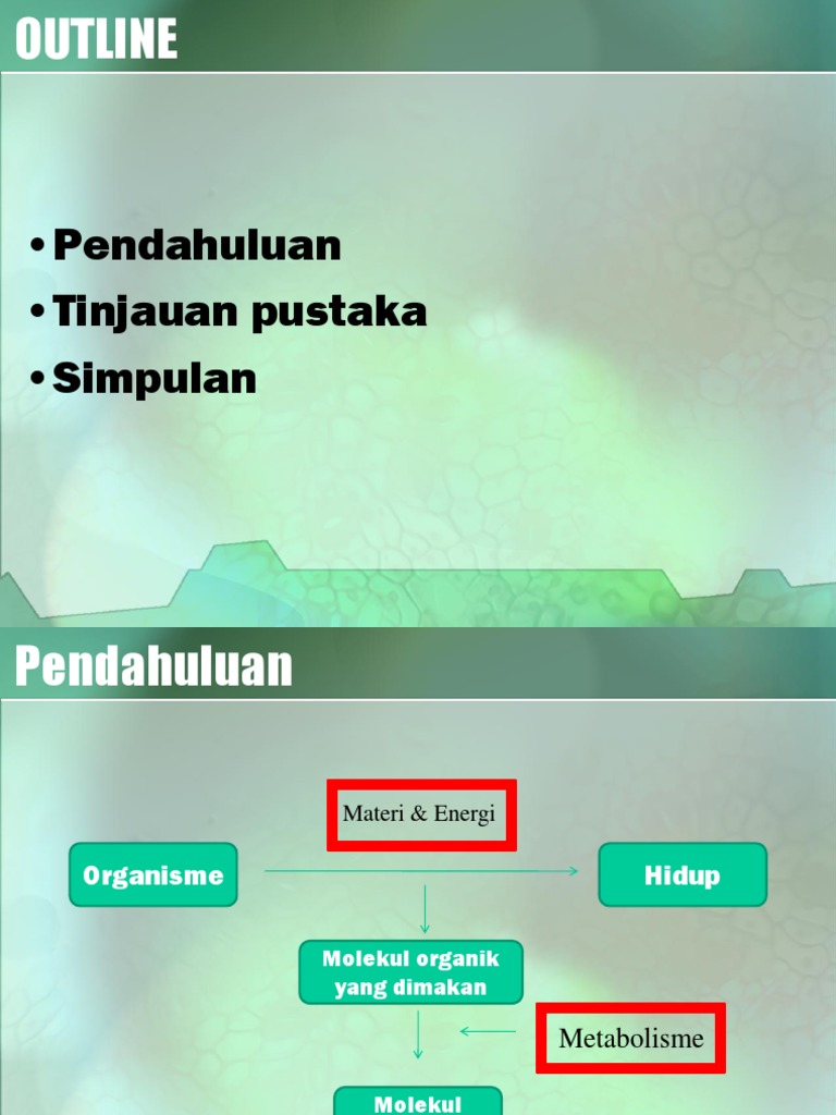diagram keseimbangan natrium dan kalium