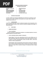 Informe de Nicolas Blas