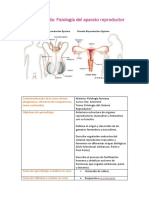 Clase Invertida: Fisiología Del Aparato Reproductor