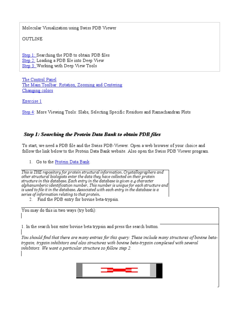 Swiss PDB Viewer Guide for Biologists | PDF | Protein Data Bank | Amino ...