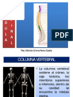 9. Médula Espinal Ppt