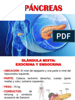 Pancreas