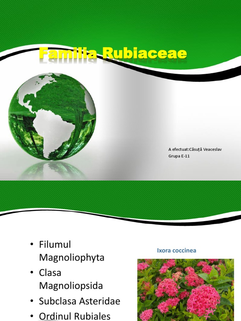 Familia Rubiaceae | PDF
