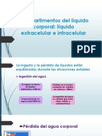 Compartimentos Del Líquido Corporal