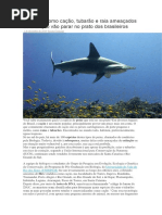 Vendidos Como Cação