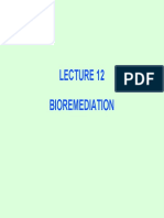 Bioremediation_slides.pdf