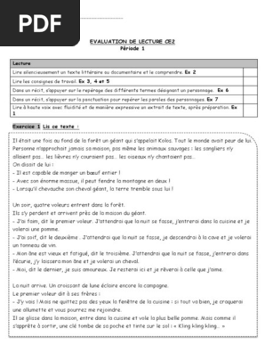 Evaluation Ce2 P1 Pdf Loisirs